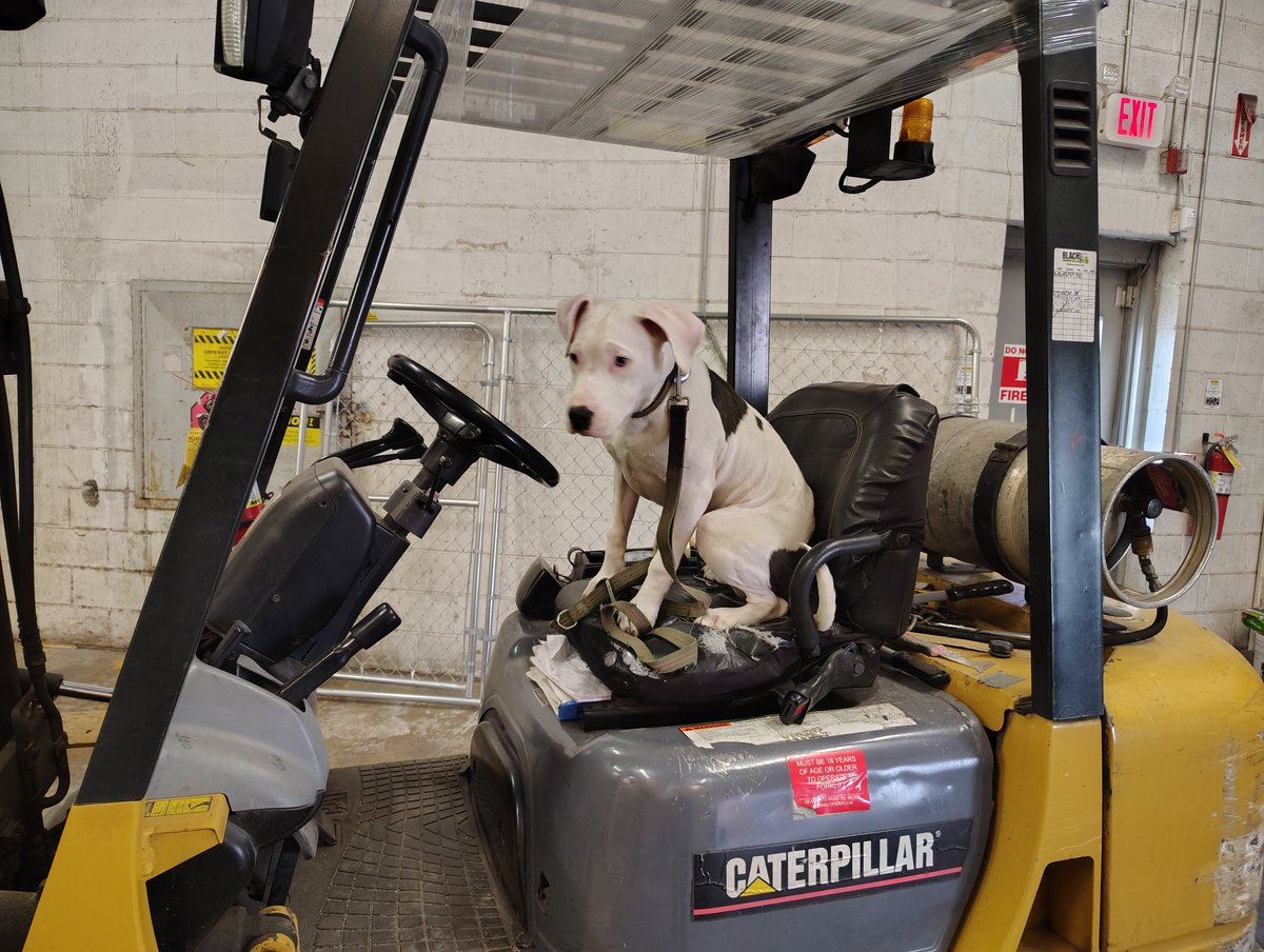 🌿🦋🍂Frog 🍄🪲🪶 tweet media