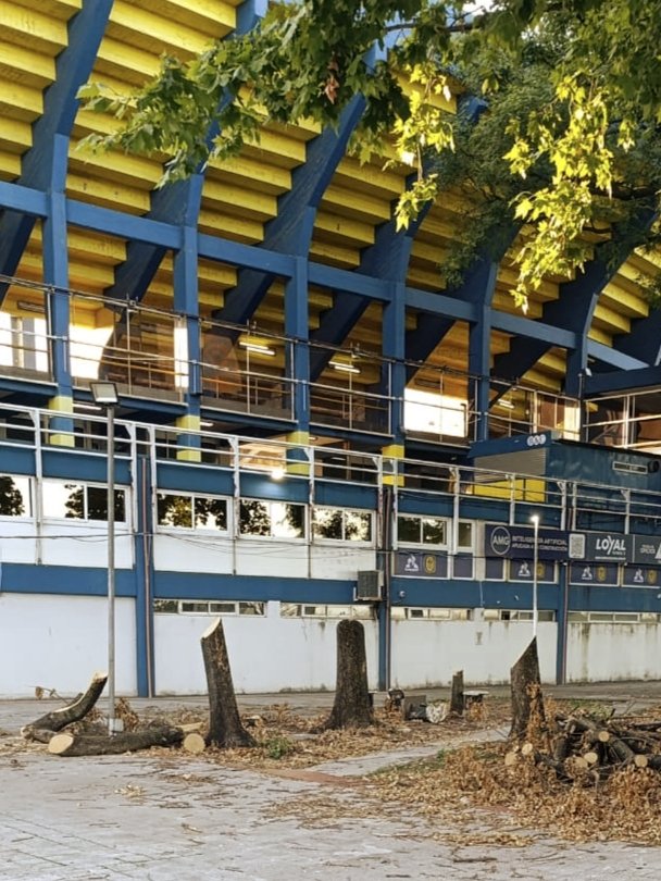 Almirón llegó a Rosario