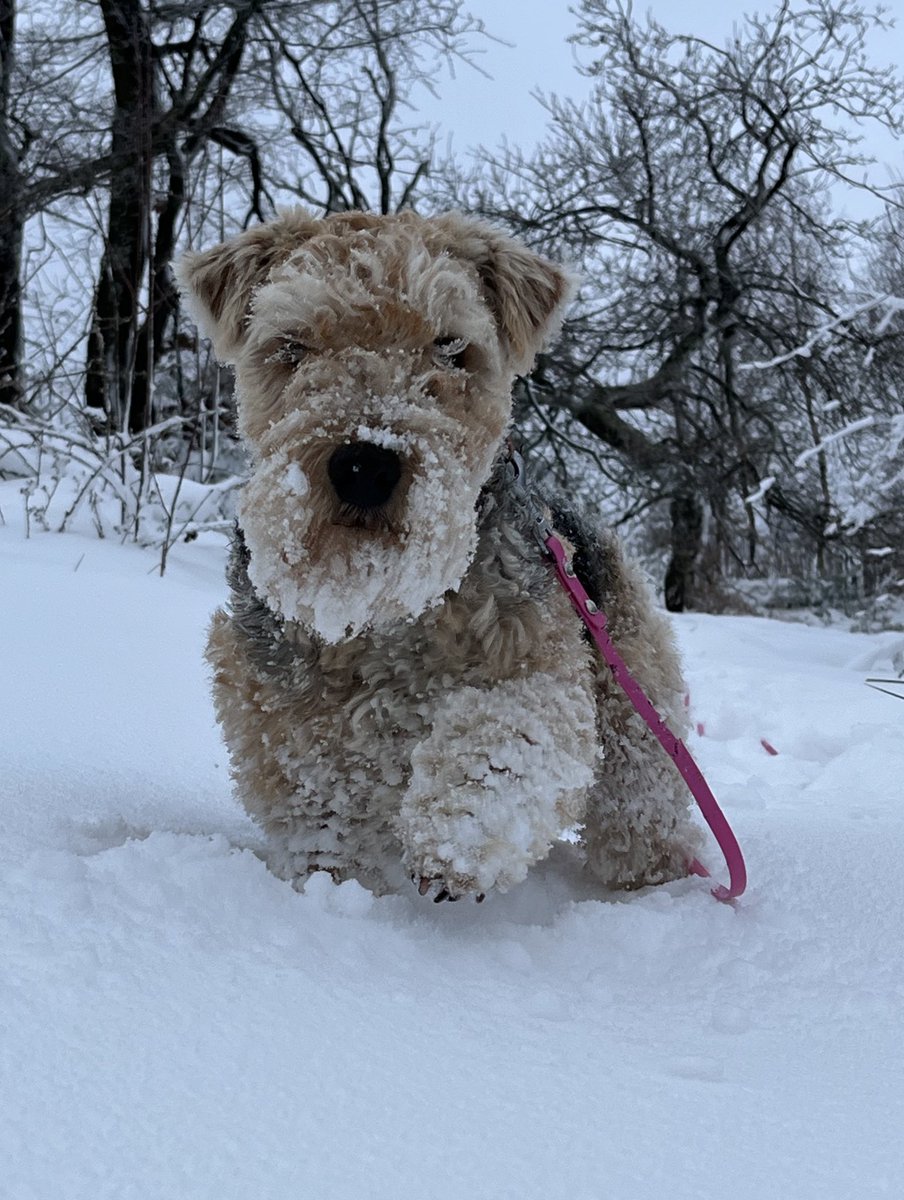 Winter Games ☃️❄️🌨️🏔️🏂