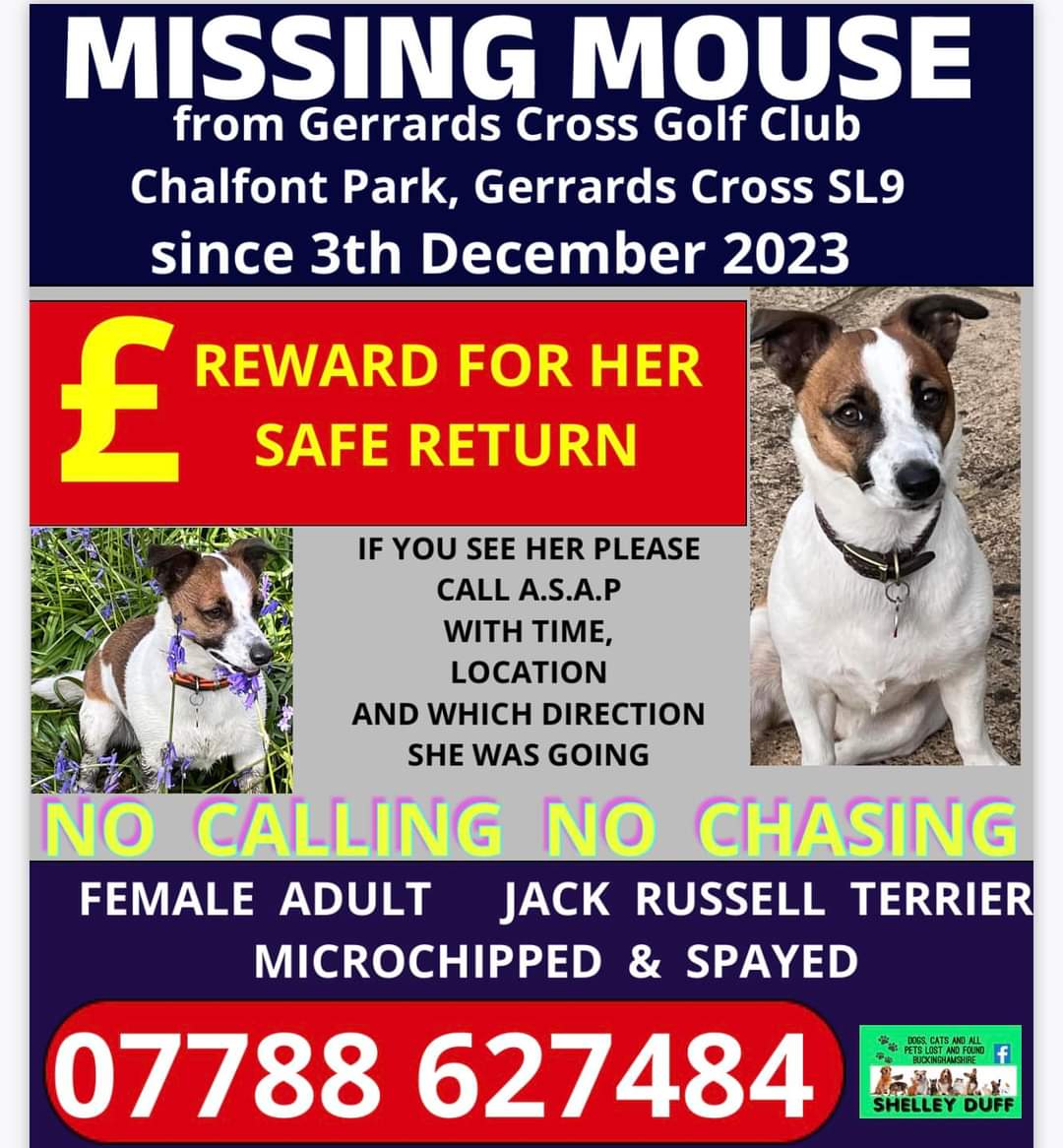 Missing Pets GB tweet media