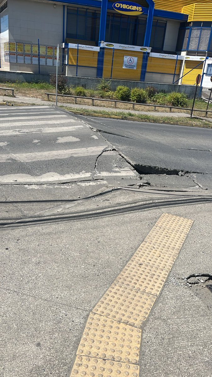 Rafael Borquez tweet media