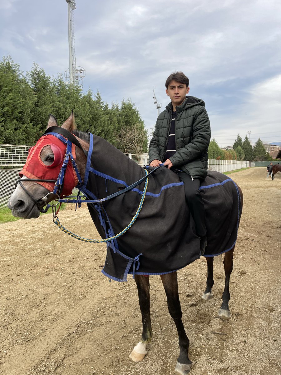 Szercelk's tweet image. Halid beyy &amp;amp; almina 🫶

#izmit #kocaeli #hipodrom #at #keşfet