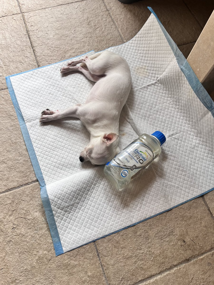 Carito 💛 tweet media