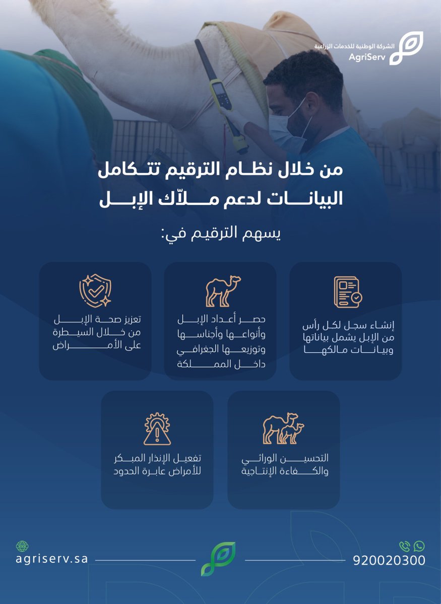AgriServ_sa's tweet photo. ابدأ بخطوة ترقيم الإبل، واحجز موعدك الآن عبر تطبيق الخدمات الزراعية:
https://t.co/AX4RcFv39o https://t.co/0rme3mDejt