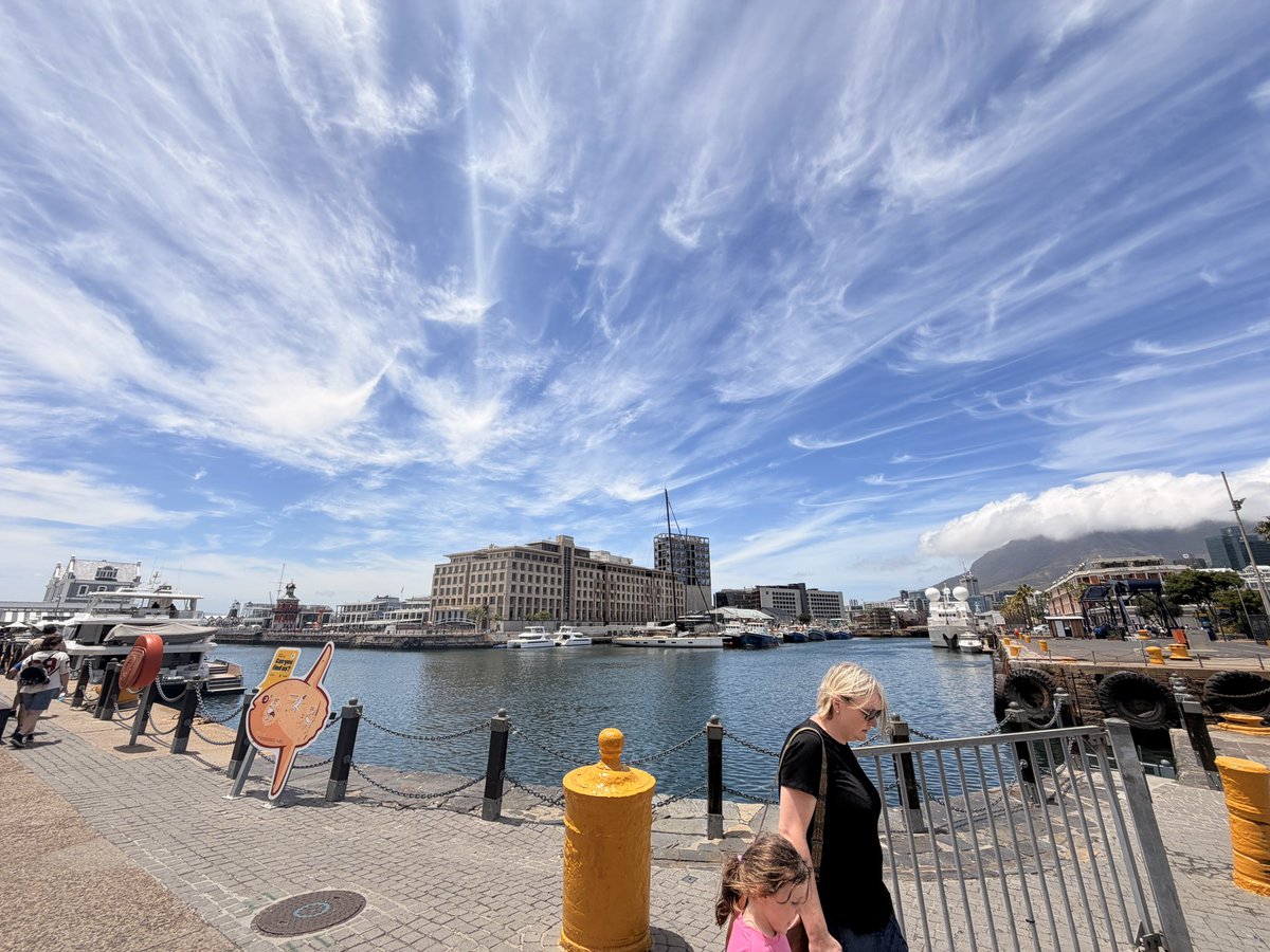 thissdax's tweet image. If you’re tired of watching others win,
stop watching.

Start studying hard, Mark charts. Build skill.

2026 will not tolerate last year’s version of you:  
a scared little keyboard warrior who wasted 365 days circle, jerking his own excuses online instead of building anything…