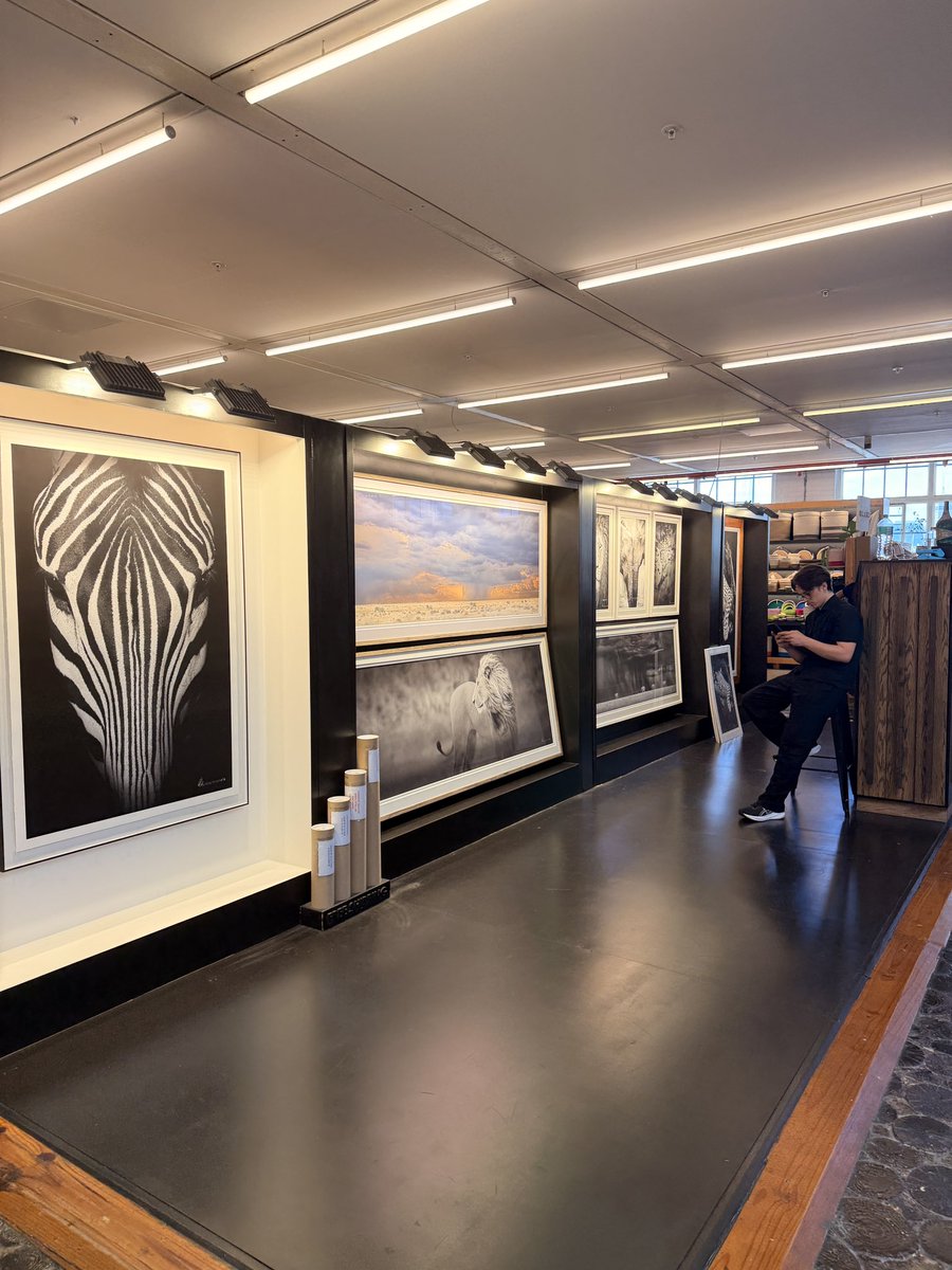 thissdax's tweet image. If you’re tired of watching others win,
stop watching.

Start studying hard, Mark charts. Build skill.

2026 will not tolerate last year’s version of you:  
a scared little keyboard warrior who wasted 365 days circle, jerking his own excuses online instead of building anything…