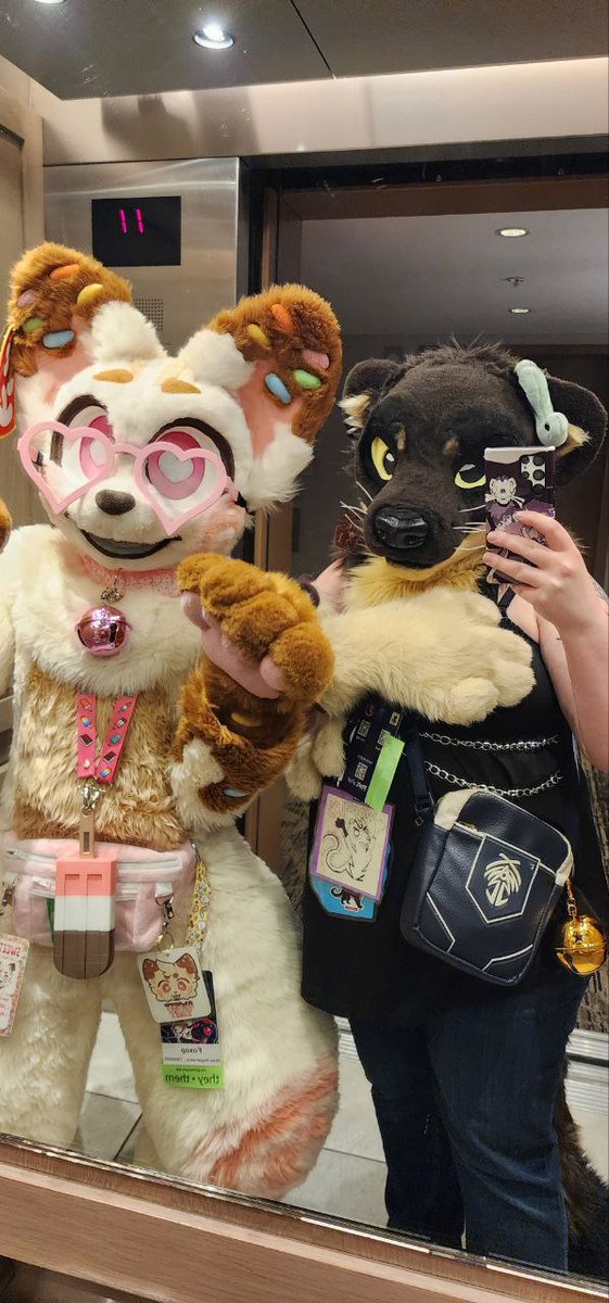 🦊 foxop 🐾 tweet media