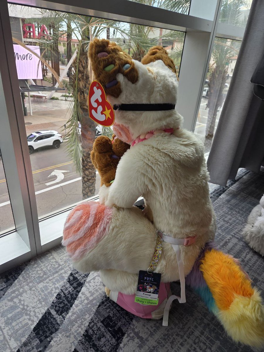 🦊 foxop 🐾 tweet media