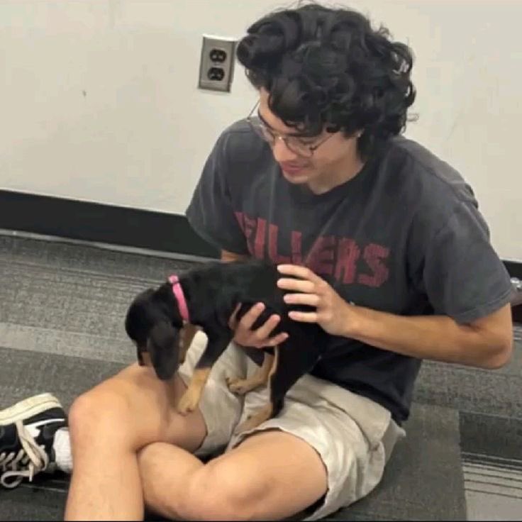 conan with puppy 🤏🏻