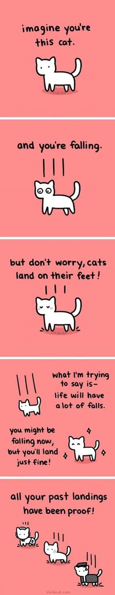 SOLANA__FACTORY's tweet photo. Love the cat landing on its feet vibe

But sometimes you just faceplant into a shitcoin rug and bleed out

Stay sharp https://t.co/lqoxh2Ujmf