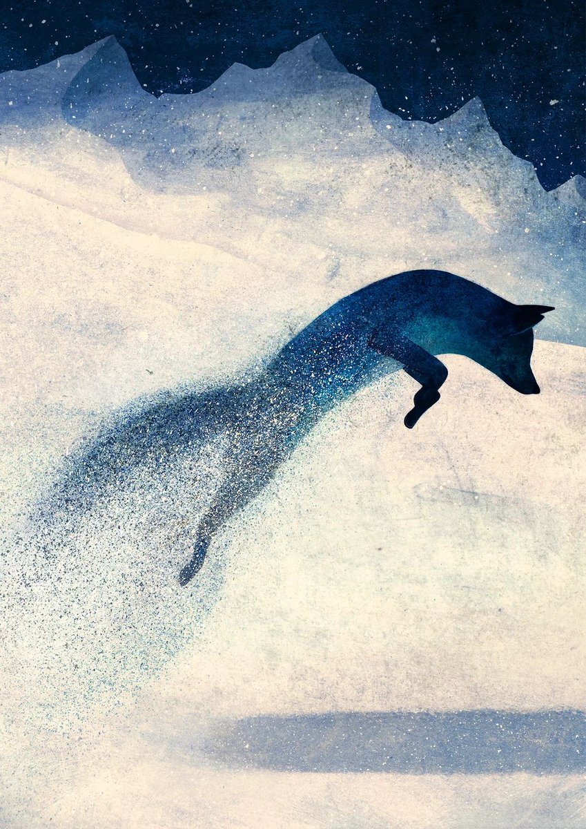 Owen Gent
The Blue Fox