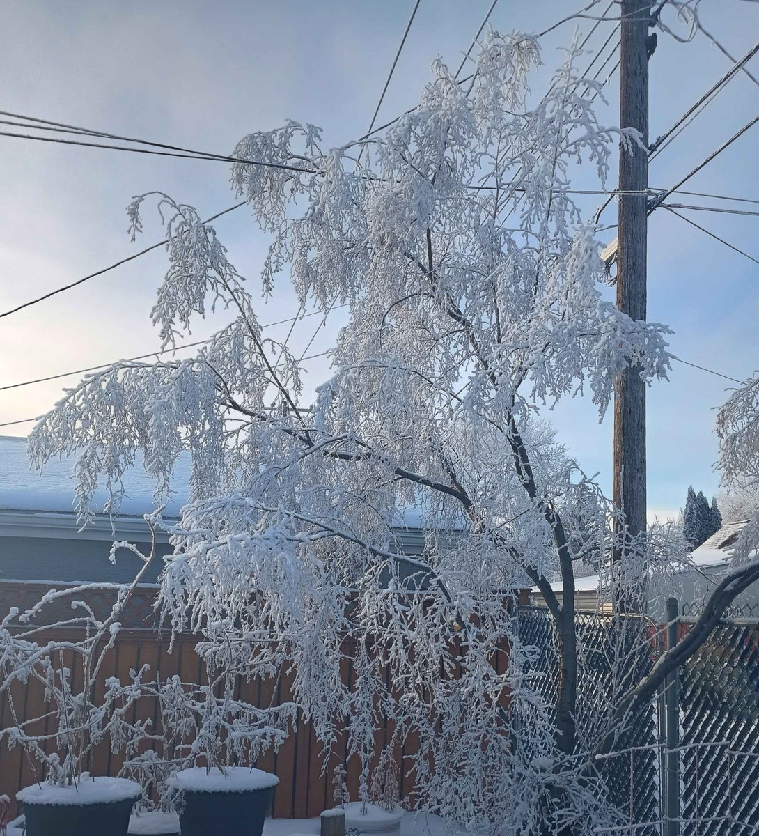 Fairytale levels of frost outside!