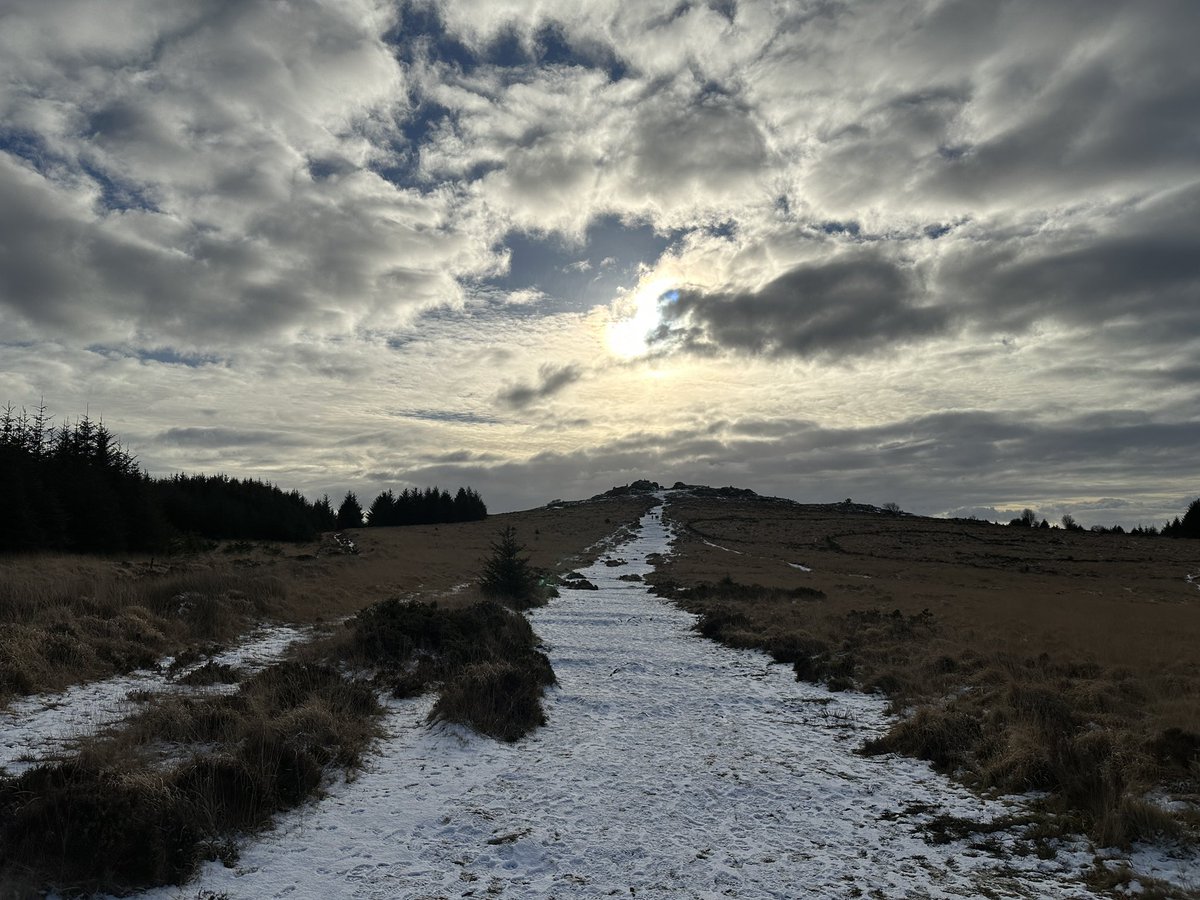 The best kind of Sunday