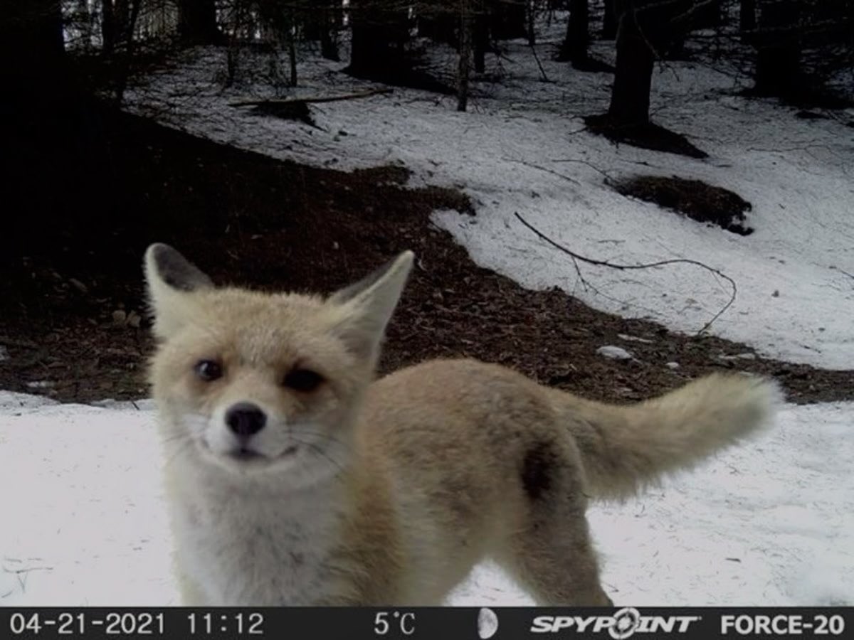 uhicr's tweet image. 