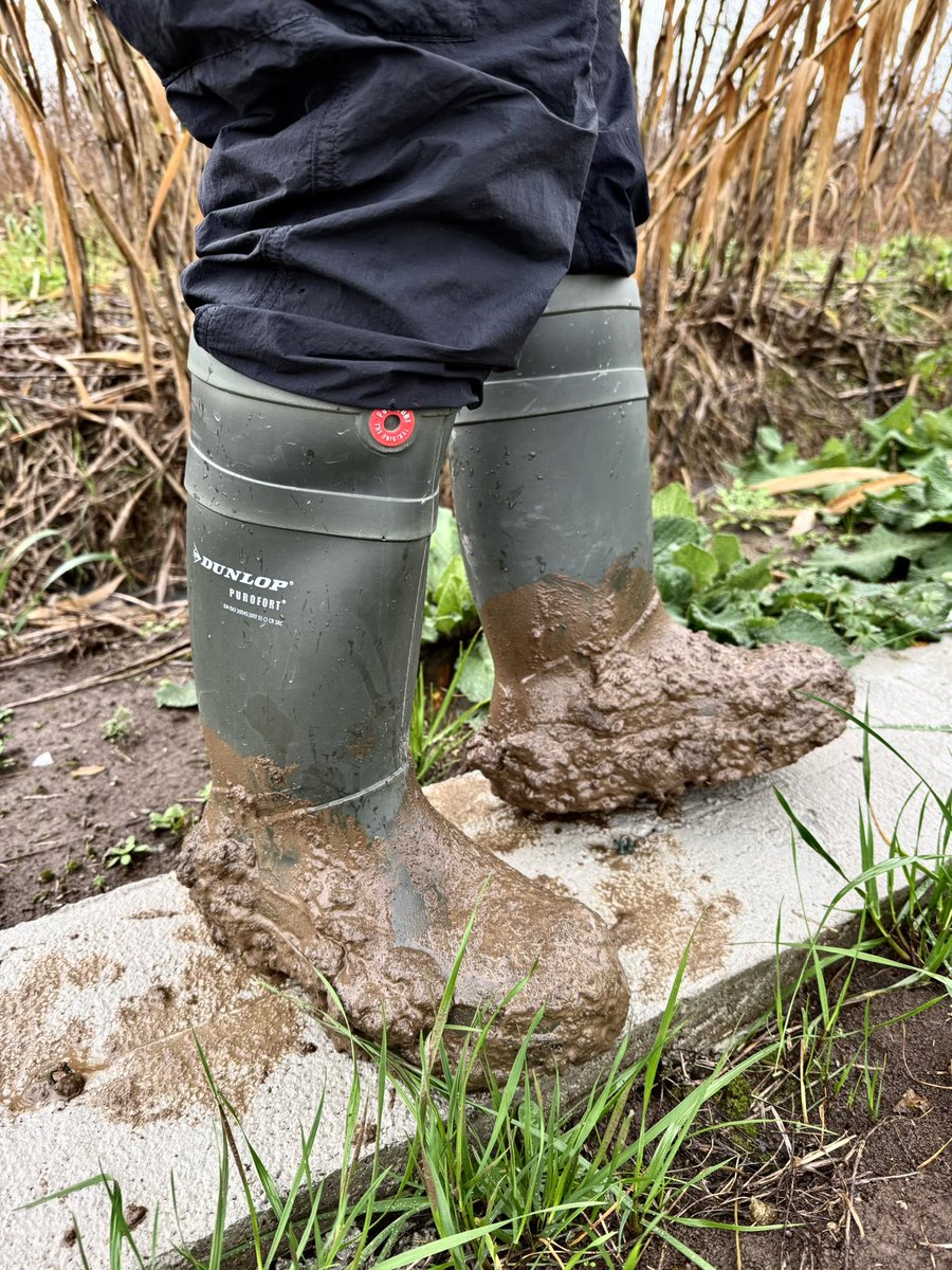 ItalianWorkerboy tweet media