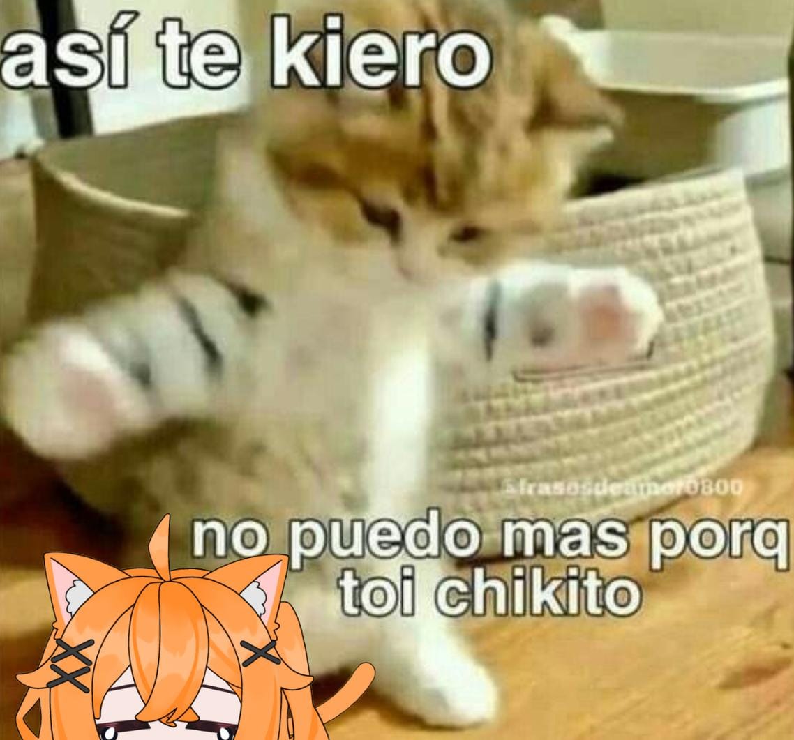 KissaCastella's tweet photo. Hola PANdilla, como están?
Hoy hay directo en https://t.co/8UBZ3p3tNI a las 8pm hora CDMX y miren este gatito me representa cuando digo cuanto los quiero... los veo pronto 🍞🐾 #vtuberlatina #vtuberlatam #Vtuber #gatomeme #vtubers https://t.co/wqvovd4dHf