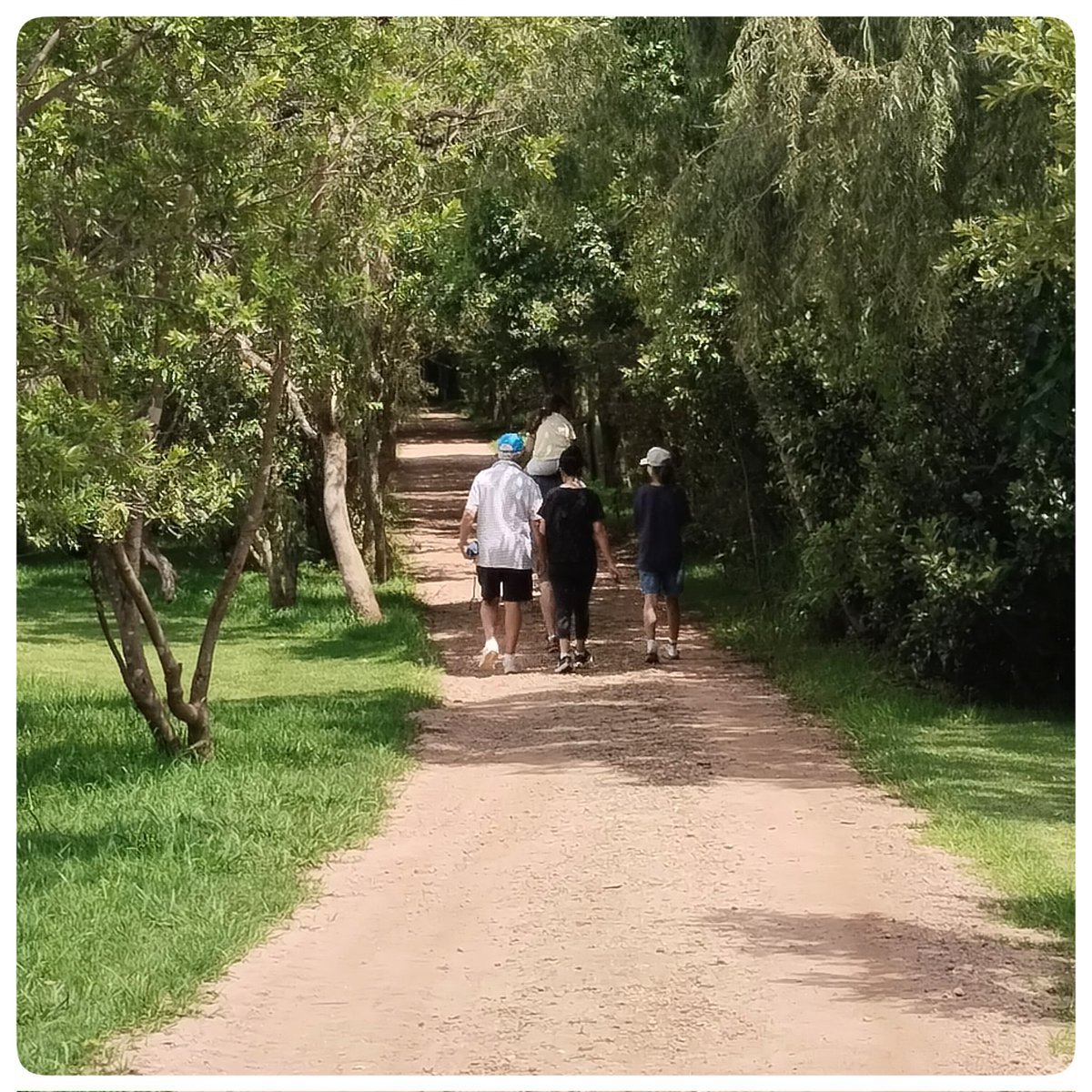 Micro-Adventure Tours tweet media