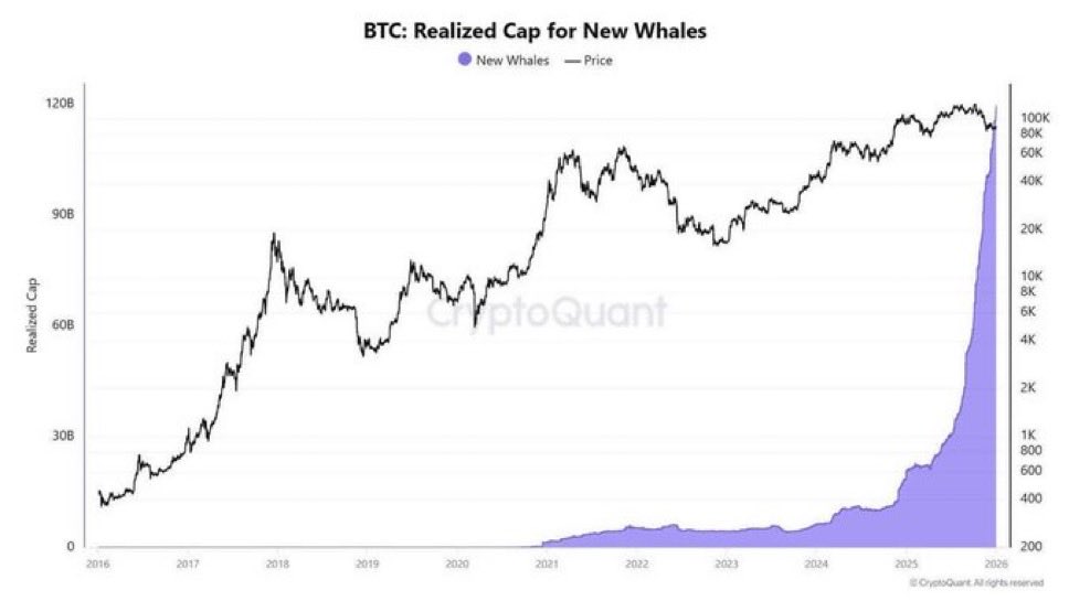 RealCrypto4's tweet image. BIG NEWS: New whales are accumulating $BTC faster than ever!
