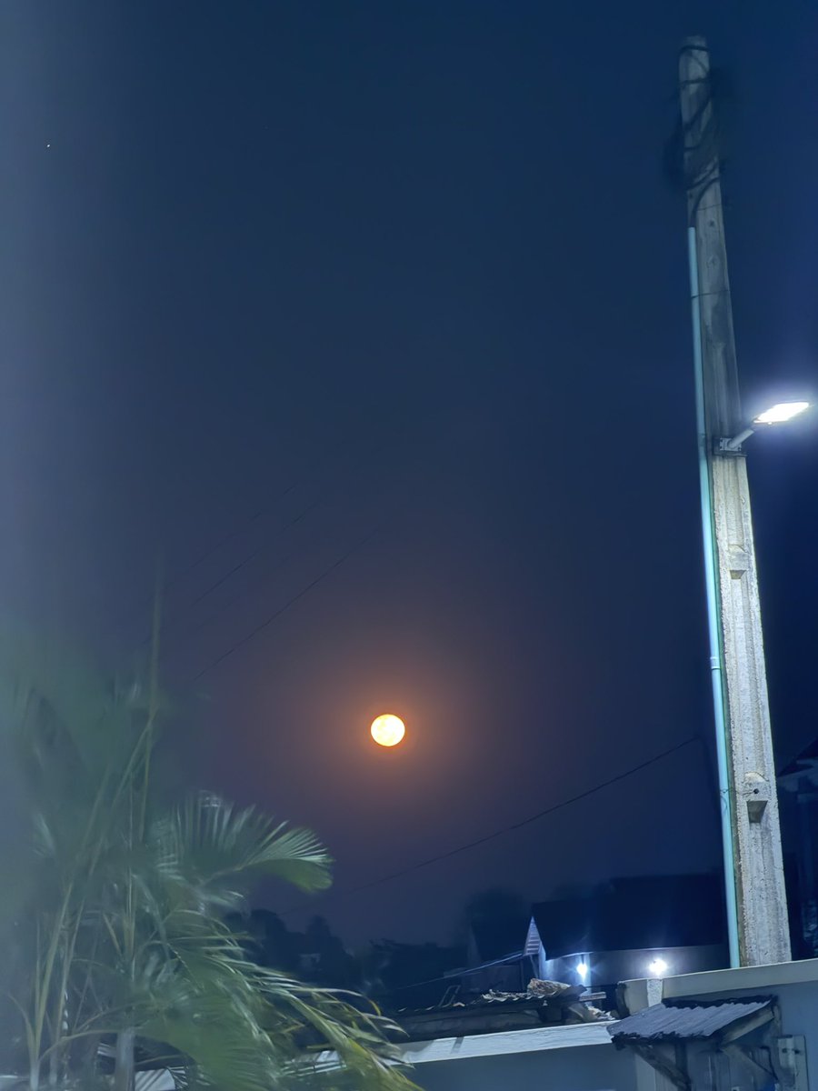 Man of Letters. tweet media