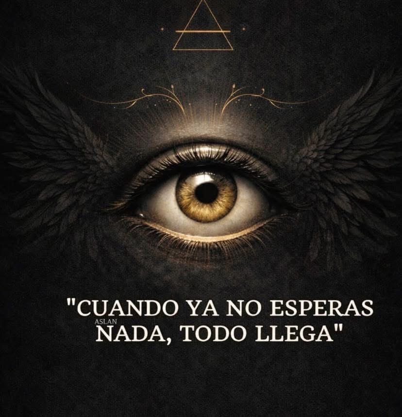 Alejandra Tamayo tweet media