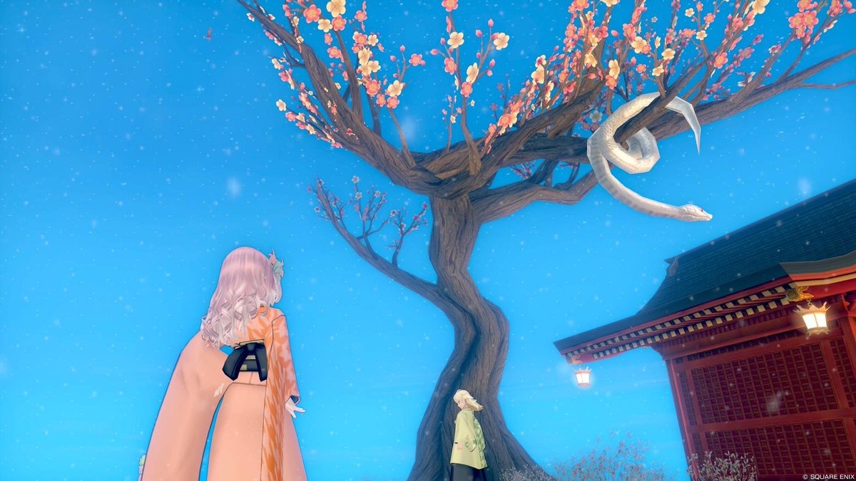 aitwi6's tweet photo. あけましておめでとうございます🎍今年もよろしくお願いします。今年の報酬はドルボもらえて豪華ですね✨ https://t.co/UiNyEo1sfm