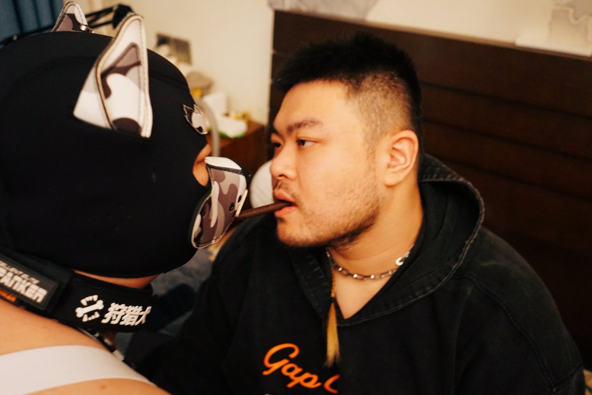 泰迪喵 tweet media