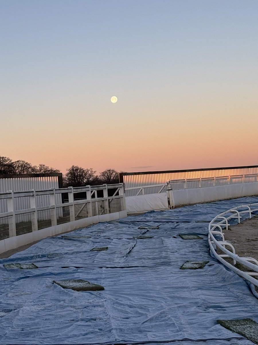 dezzieuk tweet media