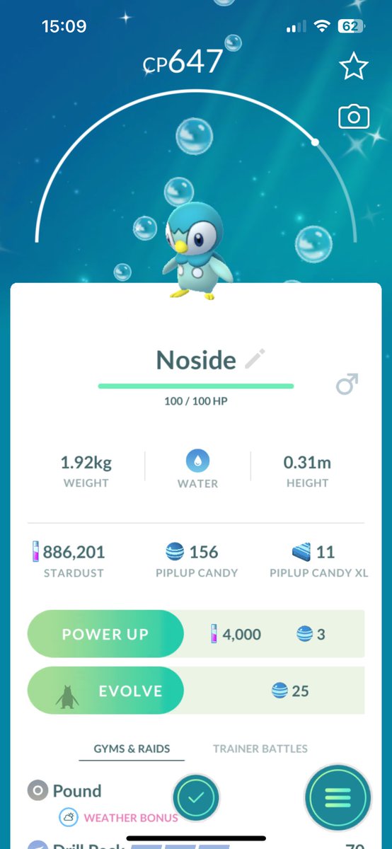 Pixil8🎀 tweet media