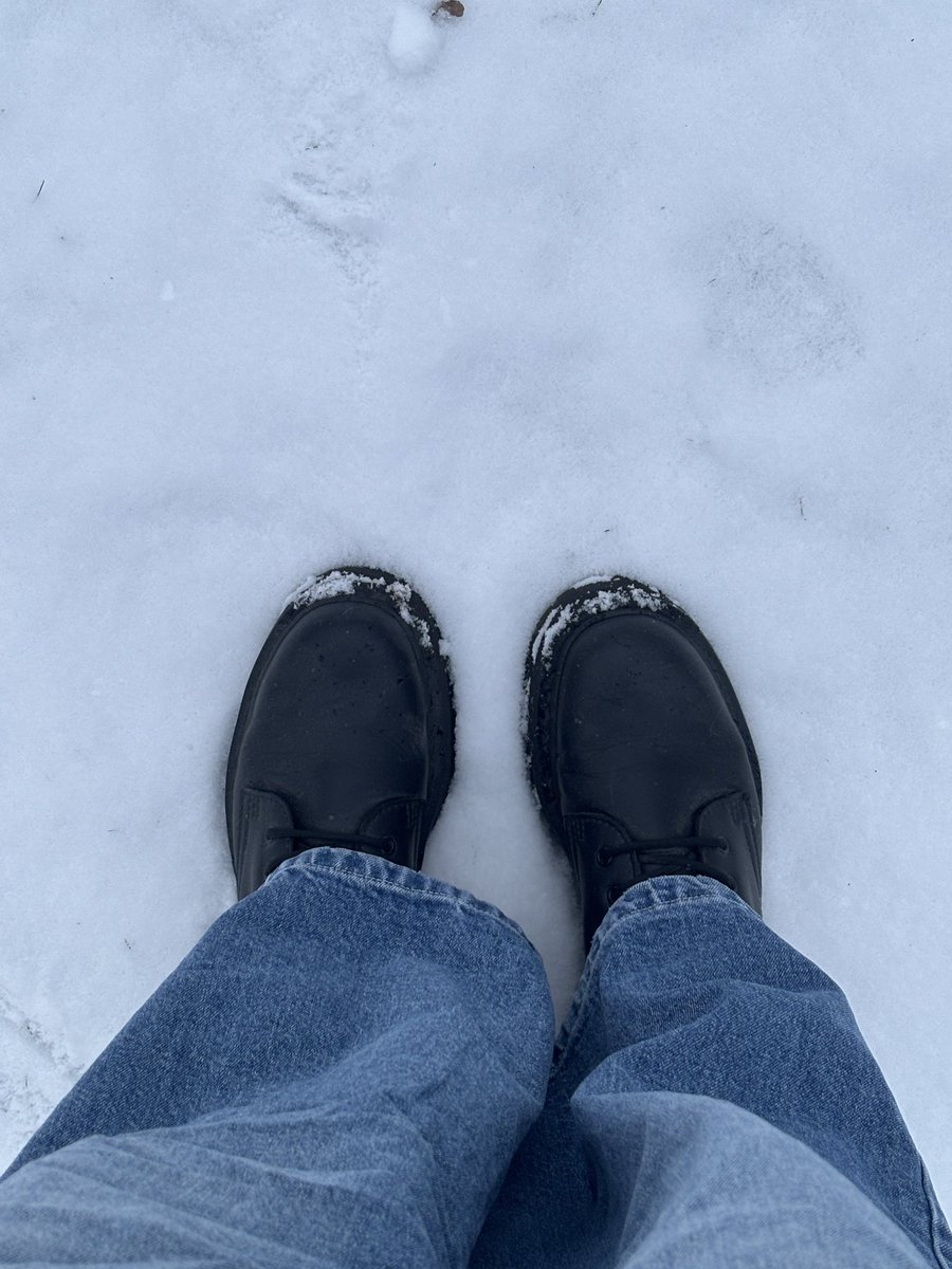 suhnoize's tweet image. sunday walk in the snow ❄️