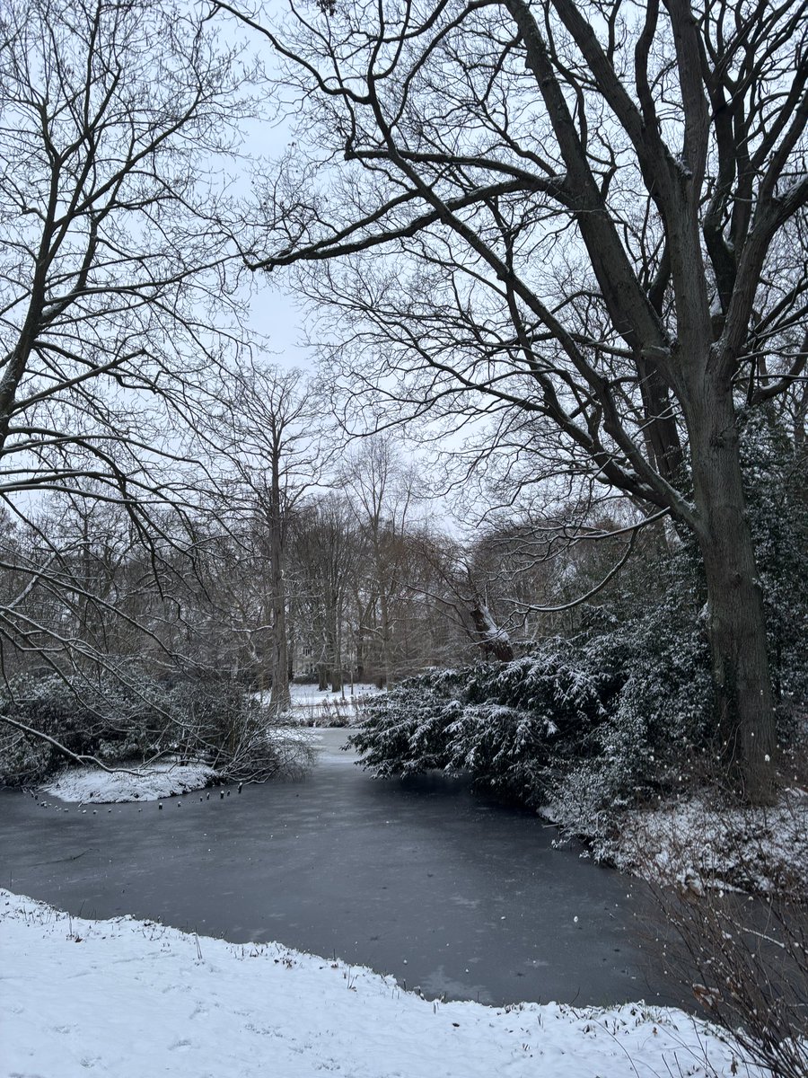 suhnoize's tweet image. sunday walk in the snow ❄️