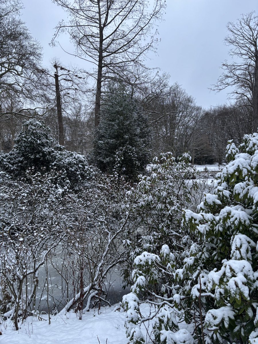 suhnoize's tweet image. sunday walk in the snow ❄️