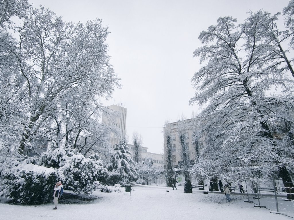 Dunavski park. #NoviSad, image size:1024x768