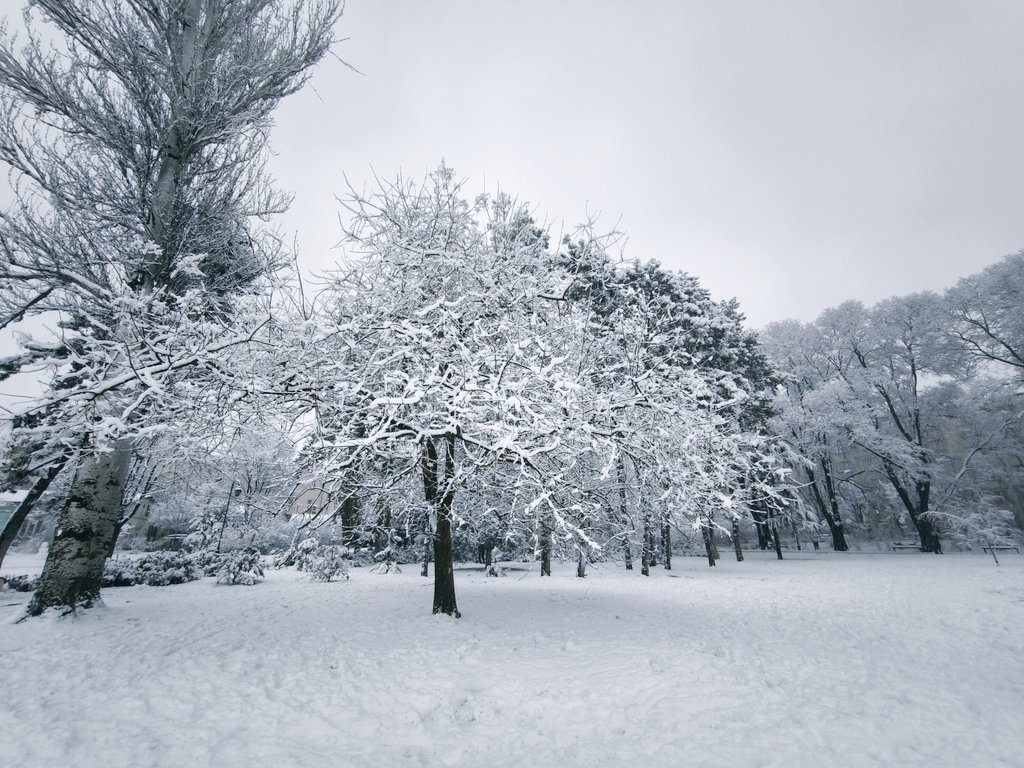 Dunavski park. #NoviSad, image size:1024x768