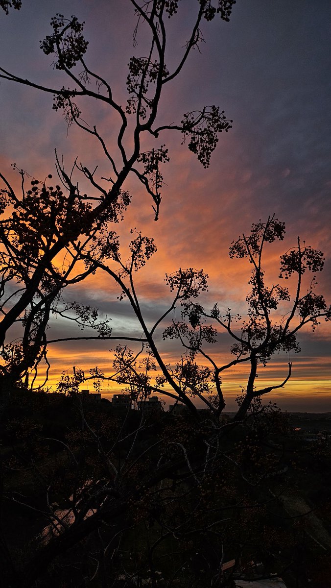 الجنوب وسما الجنوب وغروب الجنوب💛✨️
