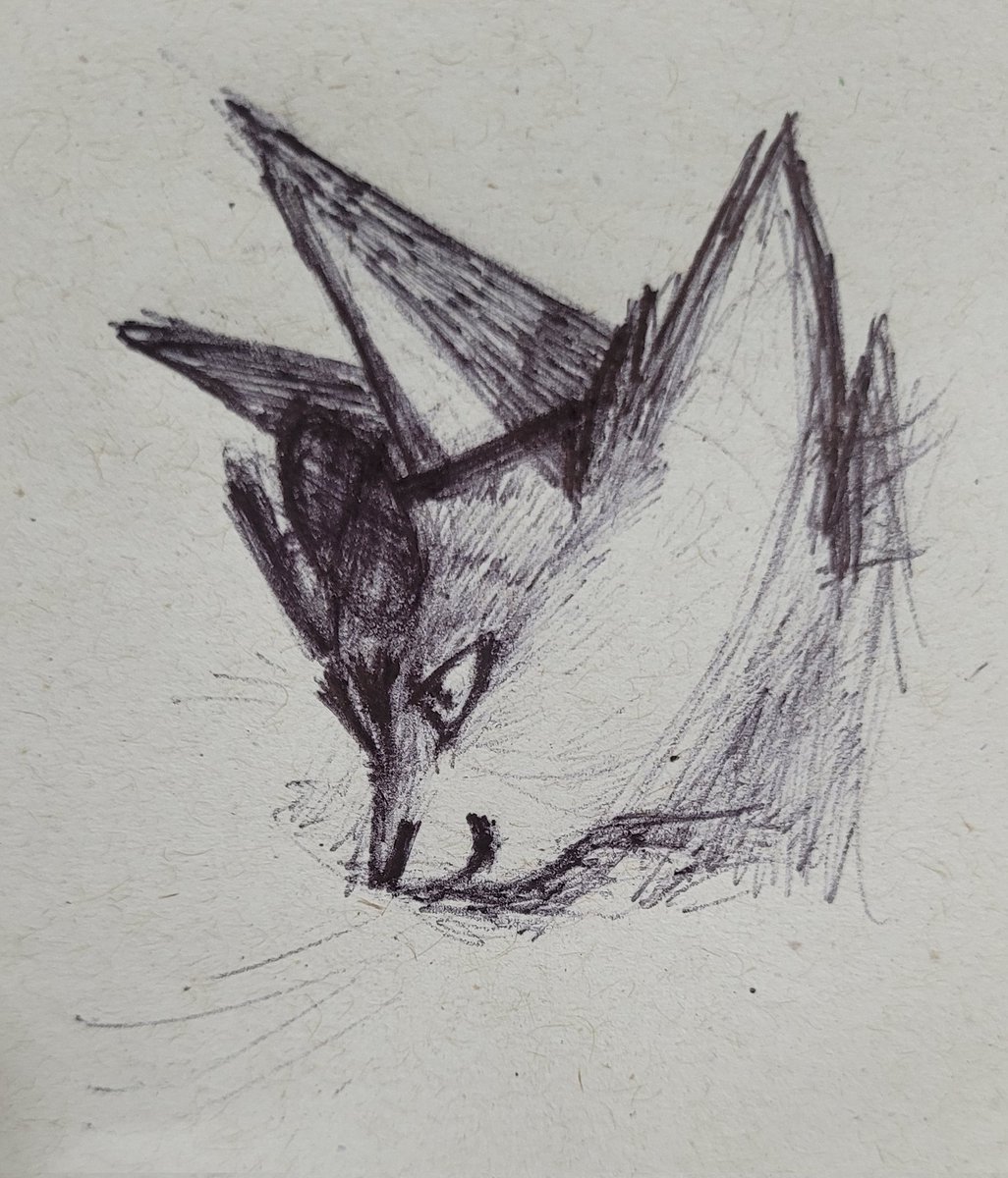 PurpleBeast69's tweet photo. Kitty https://t.co/F0jLInGC1H