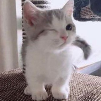 Private12doh tweet media