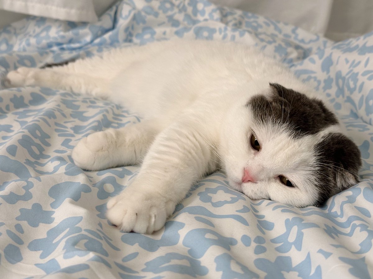 แค่คิดว่าพรุ่งนี้วันจันทร์