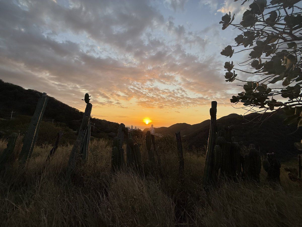 Oseas 2:18 En ese día haré un pacto 
    con todos los animales salvajes, las aves de los cielos 
y los animales que corren sobre la tierra, 
    para que no te hagan daño. 
Quitaré de la tierra todas las armas de guerra, 
    todas las espadas y todos los arcos, 
para que puedas