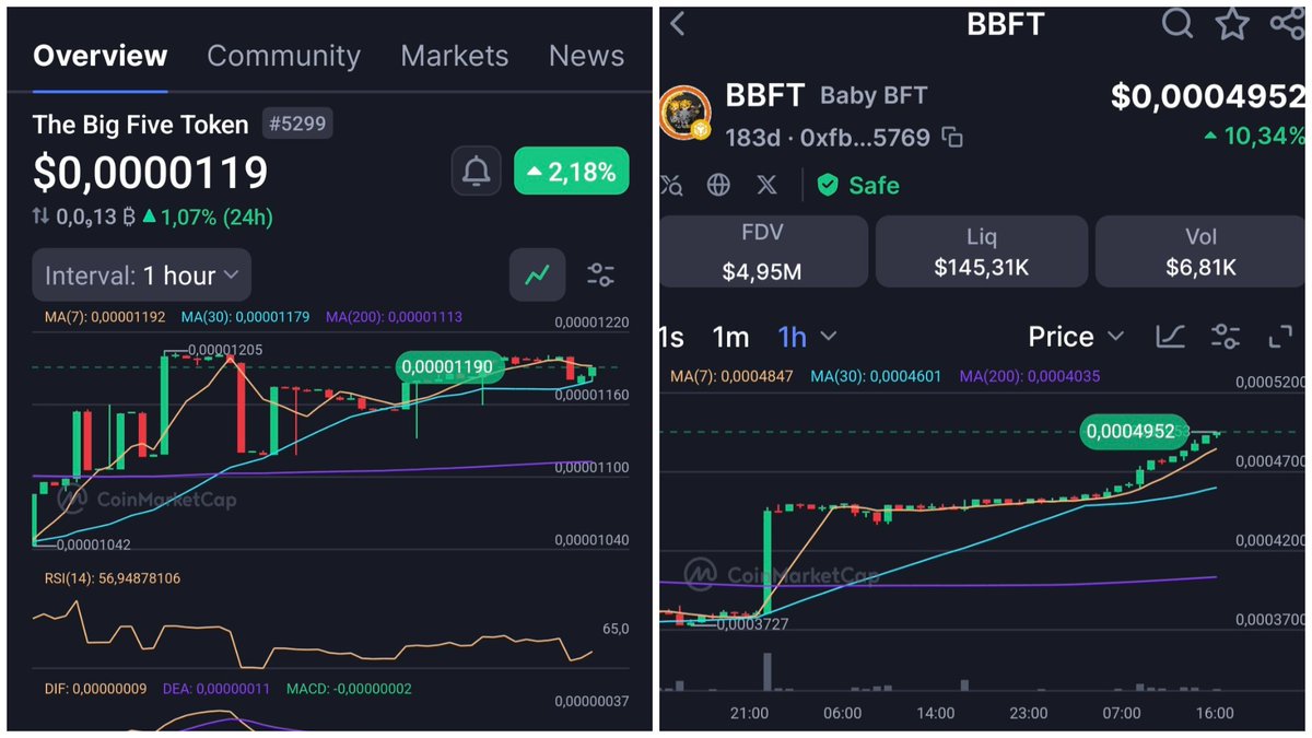 Nzvedaz Big Five tweet media