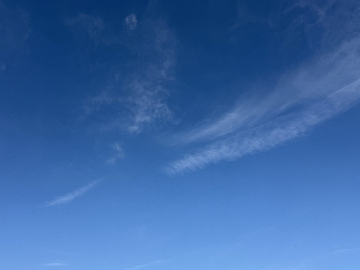 WBawake1's tweet image. 🔥🐝🌲🛶🏕️⛰️🐿️
SW Louisiana chemtrails and dispersments…..when you have crooks running the country, the crooks on down the line run free….just like the crooks at the top are doing.    
@LegendreKristy