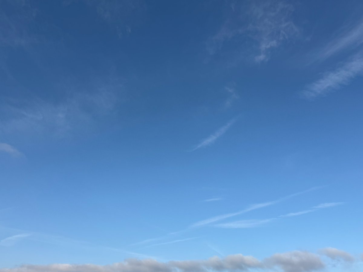 WBawake1's tweet image. 🔥🐝🌲🛶🏕️⛰️🐿️
SW Louisiana chemtrails and dispersments…..when you have crooks running the country, the crooks on down the line run free….just like the crooks at the top are doing.    
@LegendreKristy