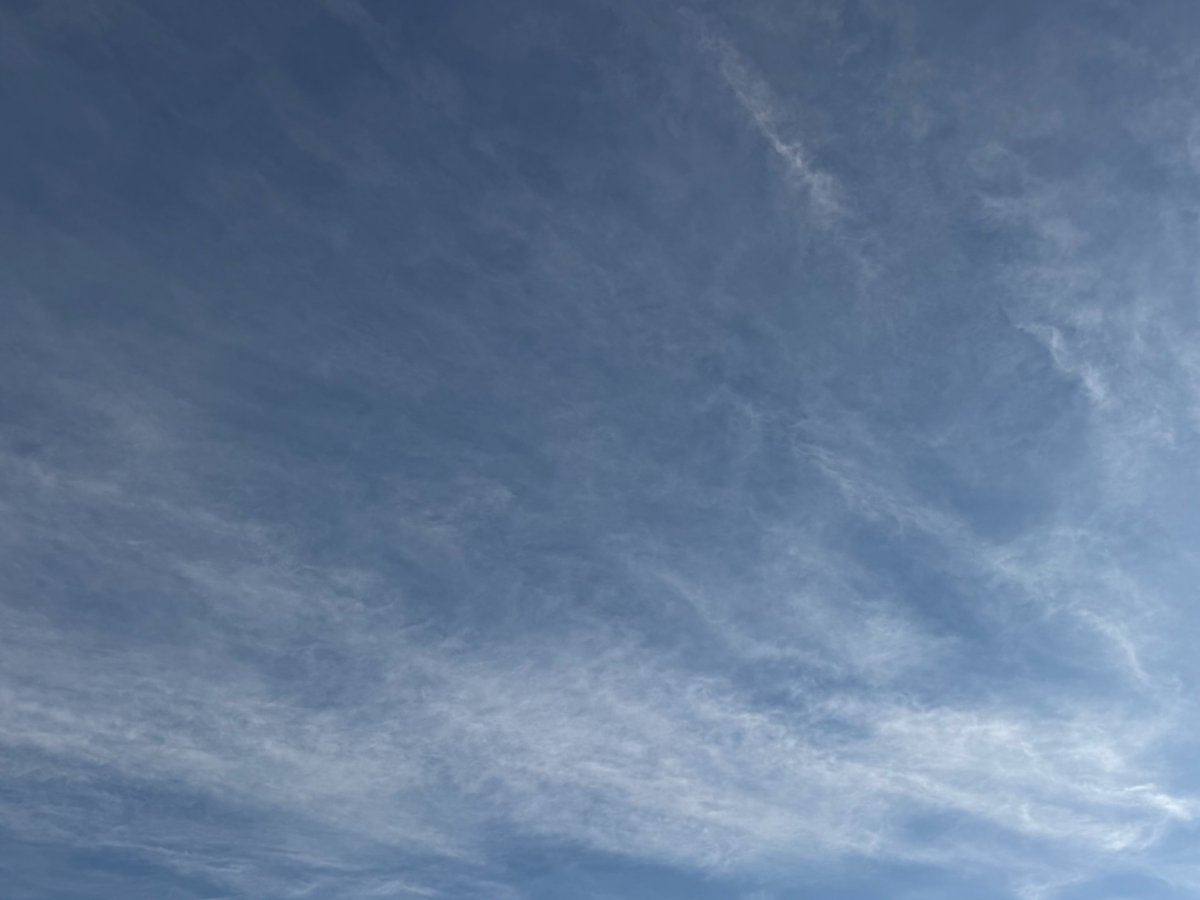 WBawake1's tweet image. 🔥🐝🌲🛶🏕️⛰️🐿️
SW Louisiana chemtrails and dispersments…..when you have crooks running the country, the crooks on down the line run free….just like the crooks at the top are doing.    
@LegendreKristy