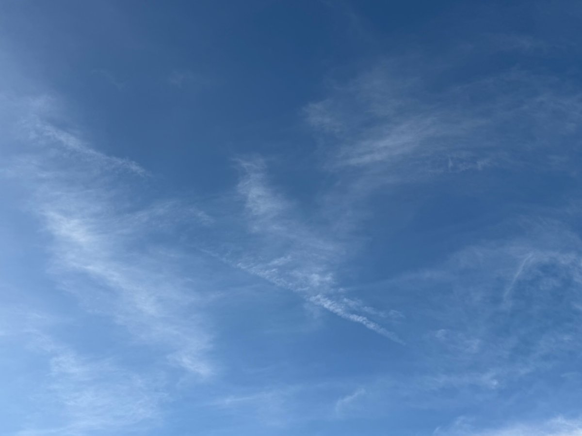 WBawake1's tweet image. 🔥🐝🌲🛶🏕️⛰️🐿️
SW Louisiana chemtrails and dispersments…..when you have crooks running the country, the crooks on down the line run free….just like the crooks at the top are doing.    
@LegendreKristy