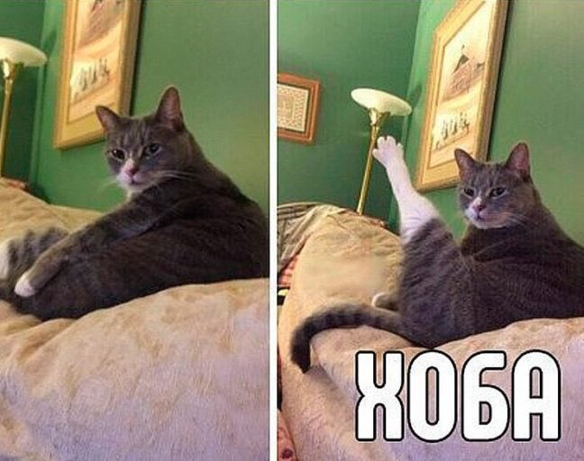 NIEVOZMOZHNO tweet media