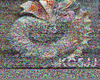 Received on 14.23 Mhz in Southern California grid square DM12mp. #SSTV #AmatuerRadio #HamRadio