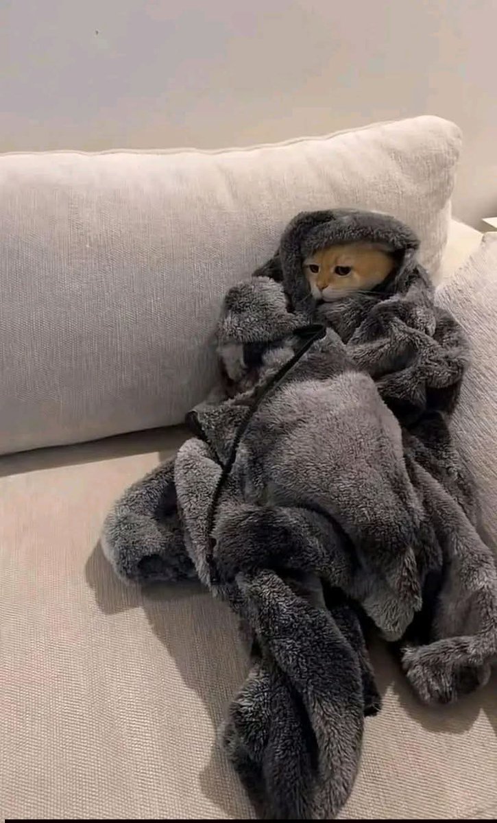 الجو مرصرص  :