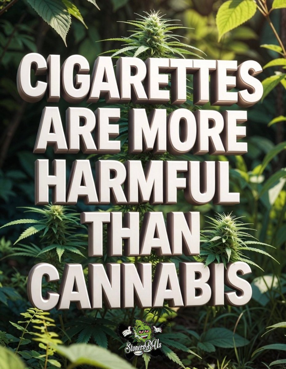 STONERS R US 🍃 tweet media