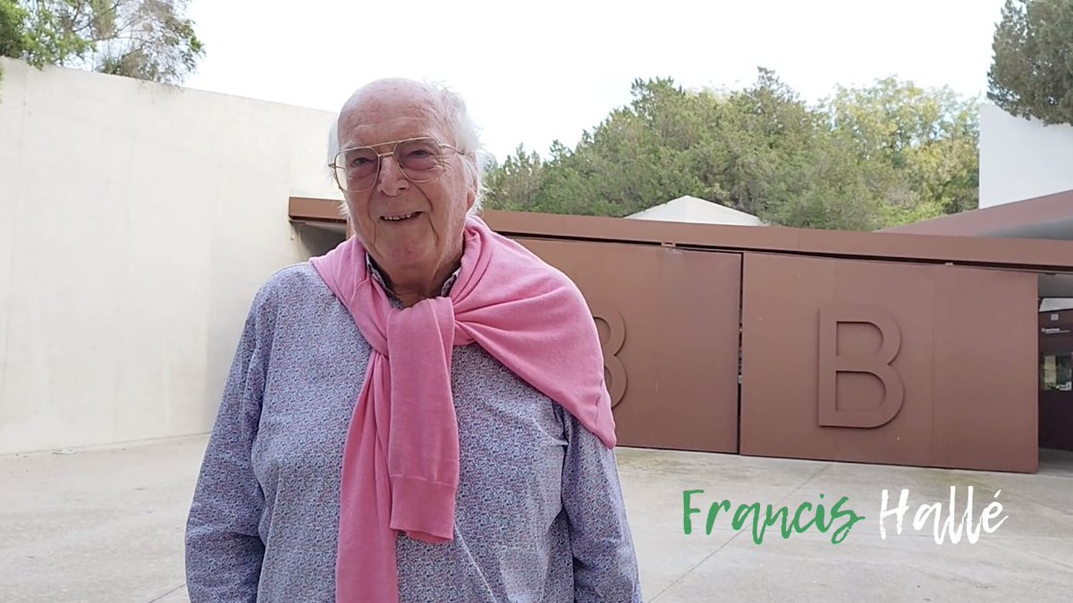 DEP Francis Hallé 📚🌍🌲🌳🌿
El darrer dia del 2025 ens va deixar el gran mestre dels arbres, pioner de l'arquitectura vegetal i defensor del bosc primari. 
Ens queda el compromís de protegir allò que ell tant va estimar. 🌎💚 El seu llegat ens inspira a continuar.
🕊️