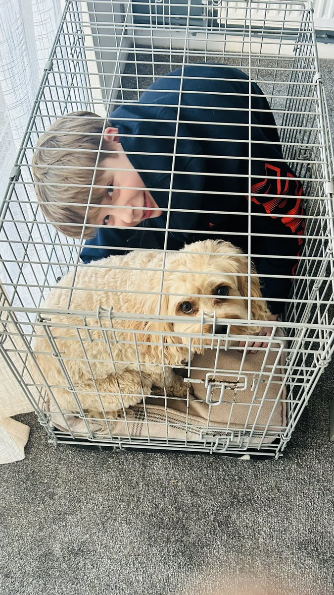 Adrian Rogers tweet media