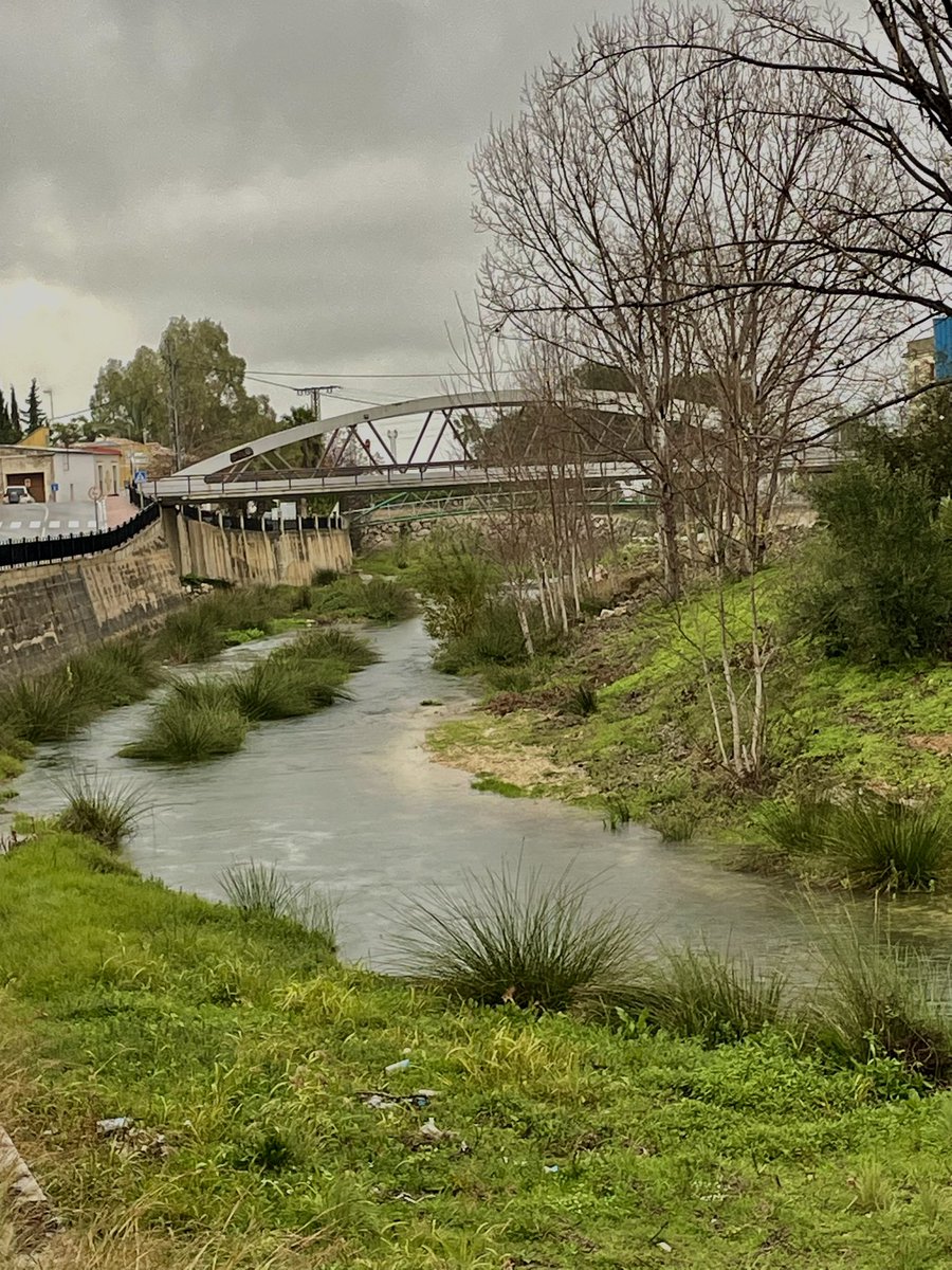Riu Girona al seu pas per Beniarbeig, Marina Alta.
16h del 4-1-202. <a href="/avamet/">AVAMET</a>  <a href="/apuntoratge/">À Punt Oratge</a>